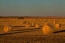 Agricultural Landscapes