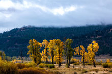 Spectacular fall colors