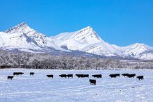 Last of the spring snowstorms