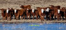 New Photo Gallery created: 2024 Photo Highlights