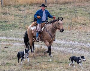 Cowboys 4
