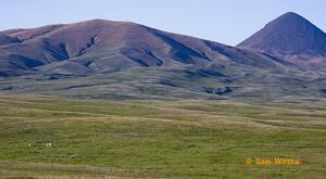 Sweet Grass Hills MT