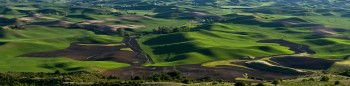 Palouse 12_pan_2455_65