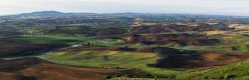 Palouse  12_pan_IMG_2839_44