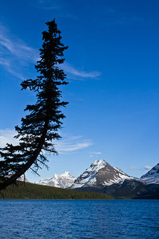 Canadian Rocky Mountains