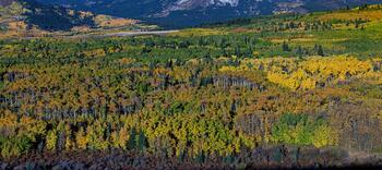 Chief Mountain (Blackfoot -Ninaistako), located in Montana