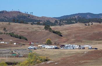 bison roundup, buffalo roundup, bison herd, bison,