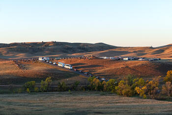 bison roundup, buffalo roundup, bison herd, bison,