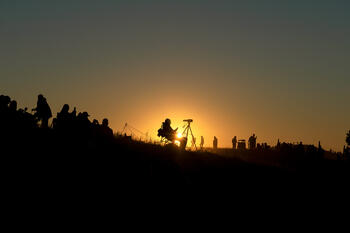 bison roundup, buffalo roundup, bison herd, bison,