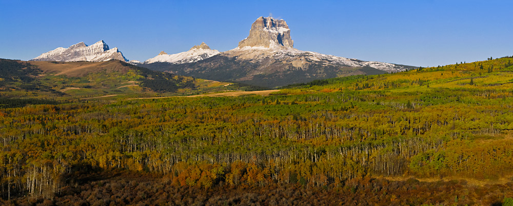 Chief Mountain. &nbsp;Fall colors.&nbsp; Rocky Mountains.