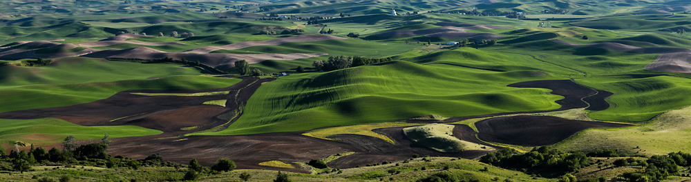 Rolling agrciultural farm land as seen from Steptoe Butte.&nbsp; Palouse country.&nbsp; Spring.
