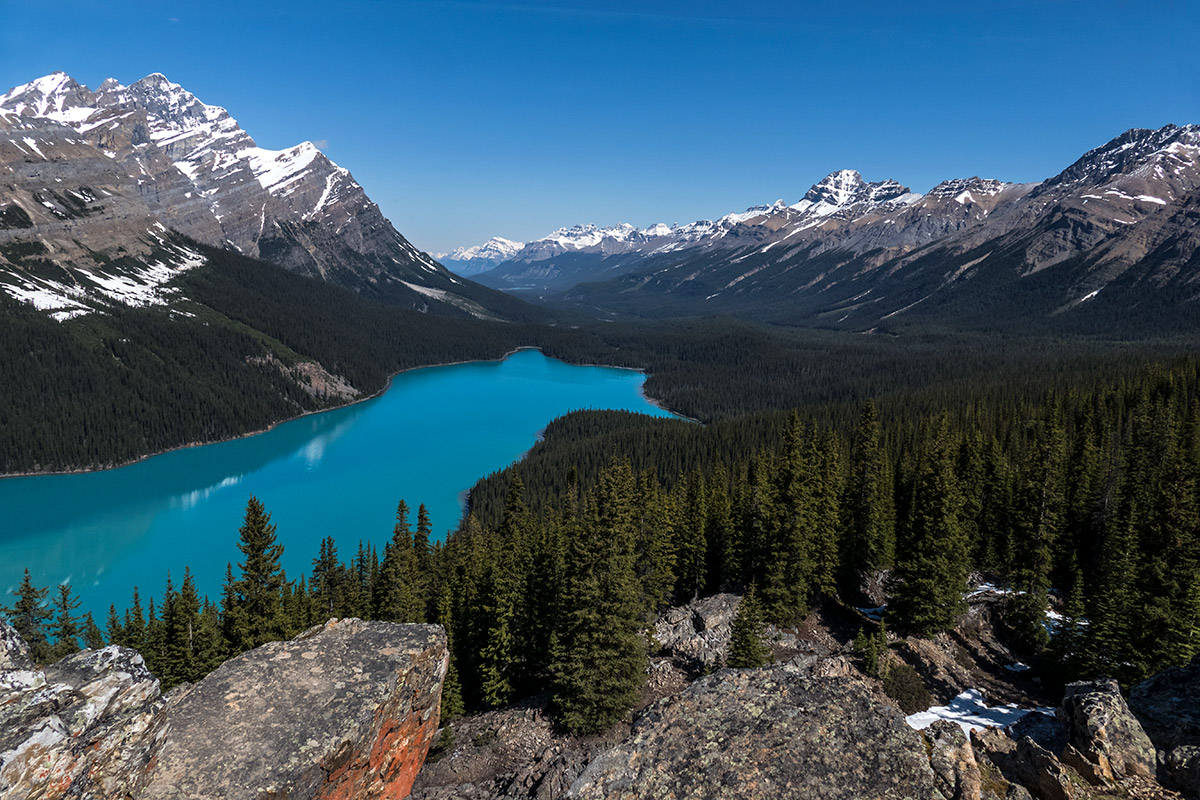 Peyto Lake in spring, above the overlook