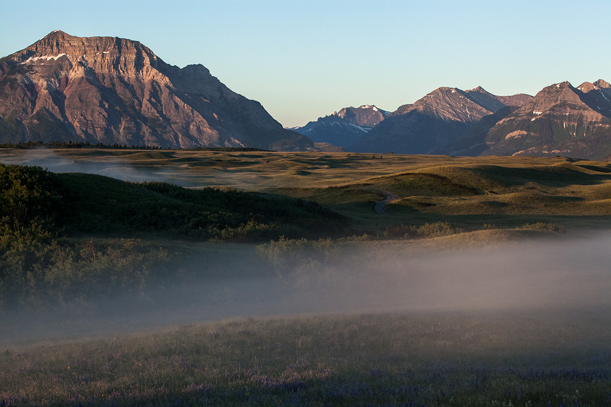 views from within the bison paddock